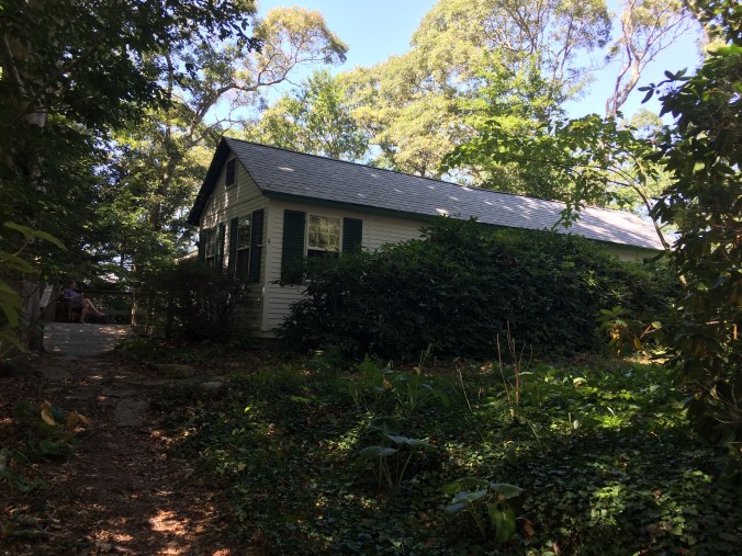 3c128a5d-597b-450f-bc4b-6c6cdfdf92fb