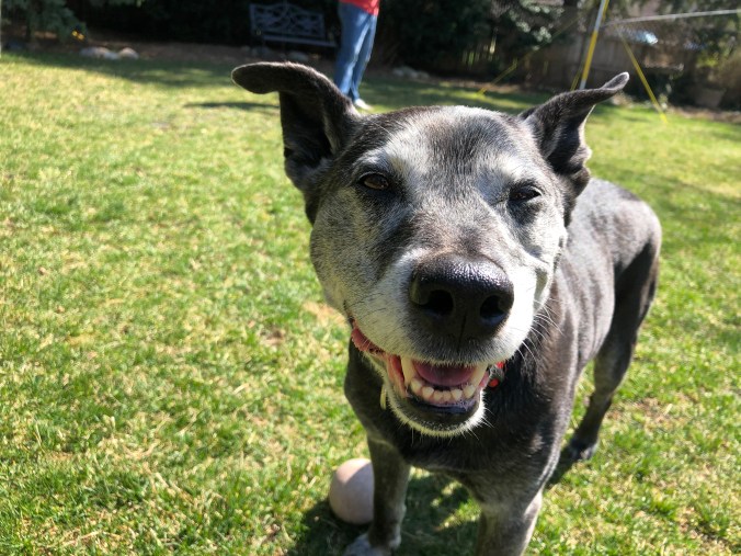 B013E713-E867-4081-A6A3-46D4C17C35CE